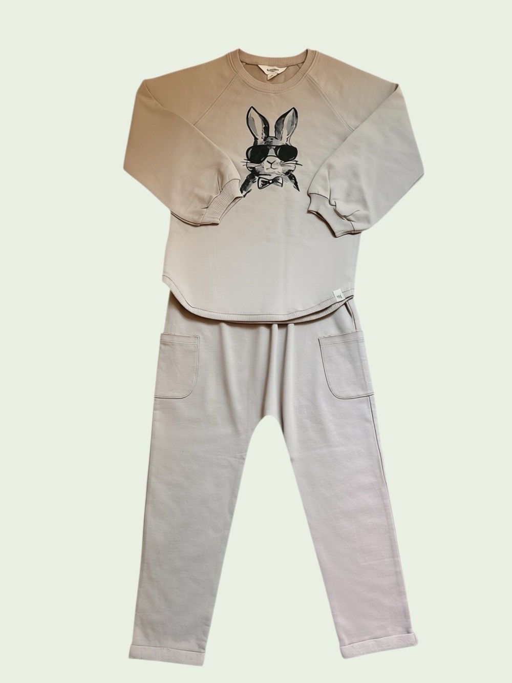 Burt’s Bees Rabbit Toddlers Size 5T Organic Cotton Set